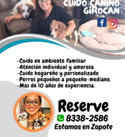 Cuido Canino Girocan