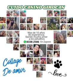 Cuido Canino Girocan