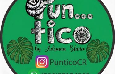 PunticoCR