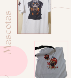 SM76cr Personalizados