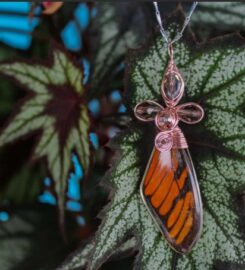 Mariposario Vida de Colores